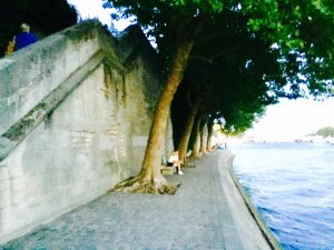 19598653 1924040327818966 6049601034583059168 n 300x225 - Picnic : Saint louis Island in paris