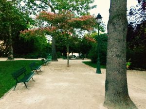 20106647 1924040411152291 7262946892186931459 n 300x225 - Picnic : Saint louis Island in paris